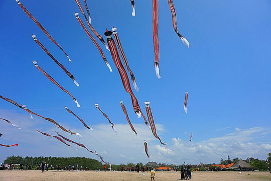 Kites Near Bali's Airport Threatens Safety | Bali Discovery