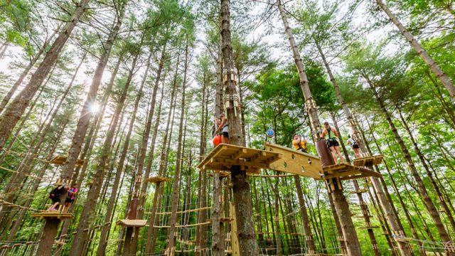 Bali Treetop Adventures Ceases Operations | Bali Discovery