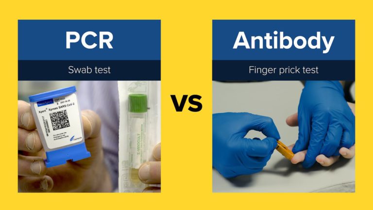 Pcr Test For Travel Bahrain / Are you traveling and do you